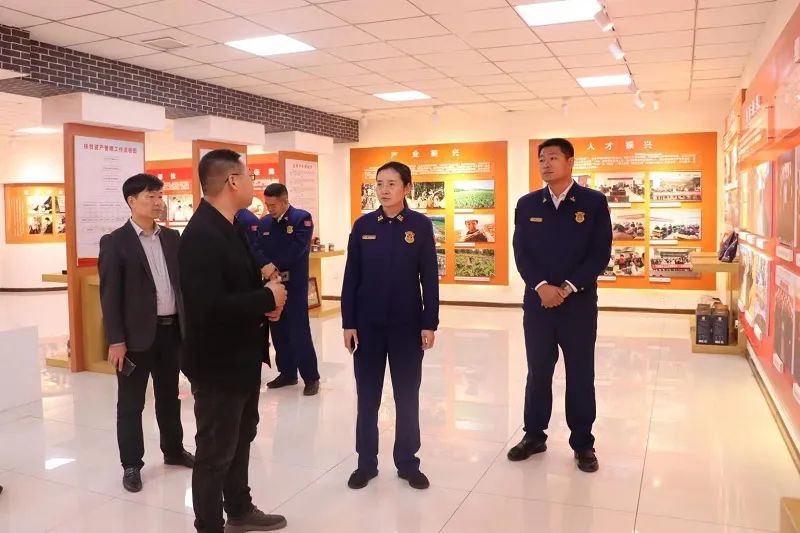 凝心聚力绘蓝图建言献策谱新篇,凝心聚力绘蓝图砥砺前进开新局