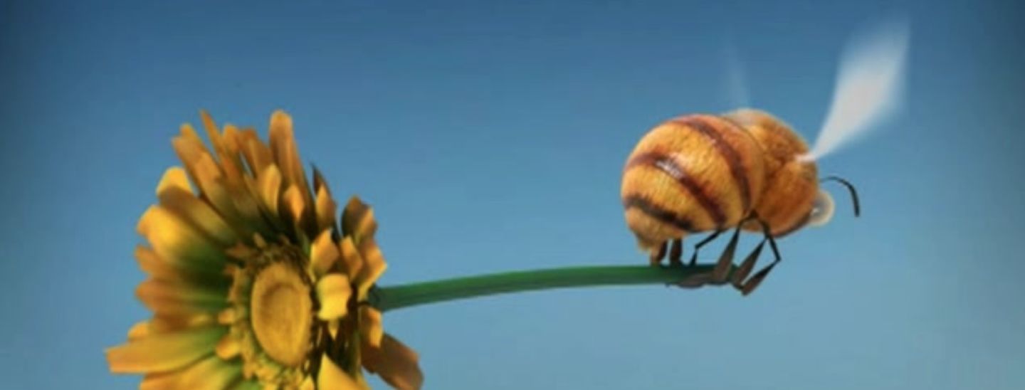 为孩子收藏百科知识,替孩子收藏的小知识