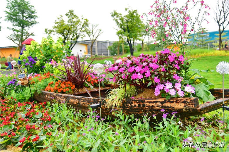 佛山旅游景点攻略,佛山森林公园游玩攻略