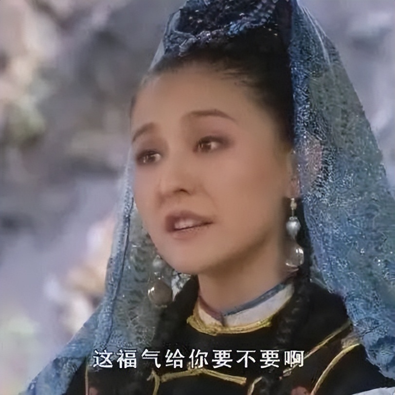 千万别养两只柴犬,千万不要养的狗子