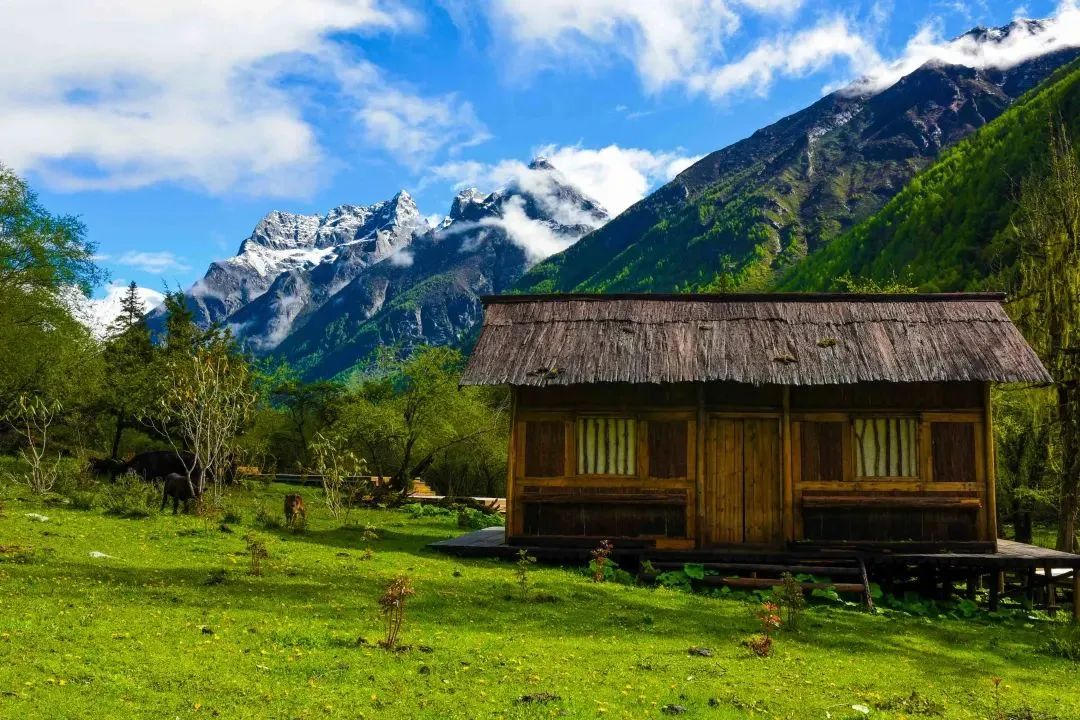 去阿坝州过完了春夏秋冬,阿坝州夏天去还是秋冬去
