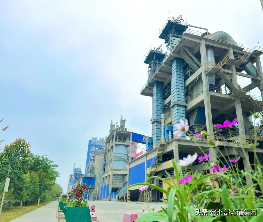 3家企业获全国表彰,3家企业入选省工业龙头企业名单