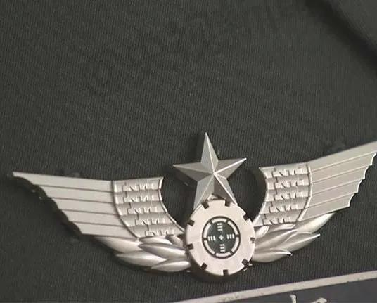 陆军胸标图案解释,陆军胸标高清图片