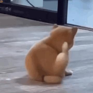 0月租永久免费的无限流量卡,0月租0最低消费大流量无限量套餐