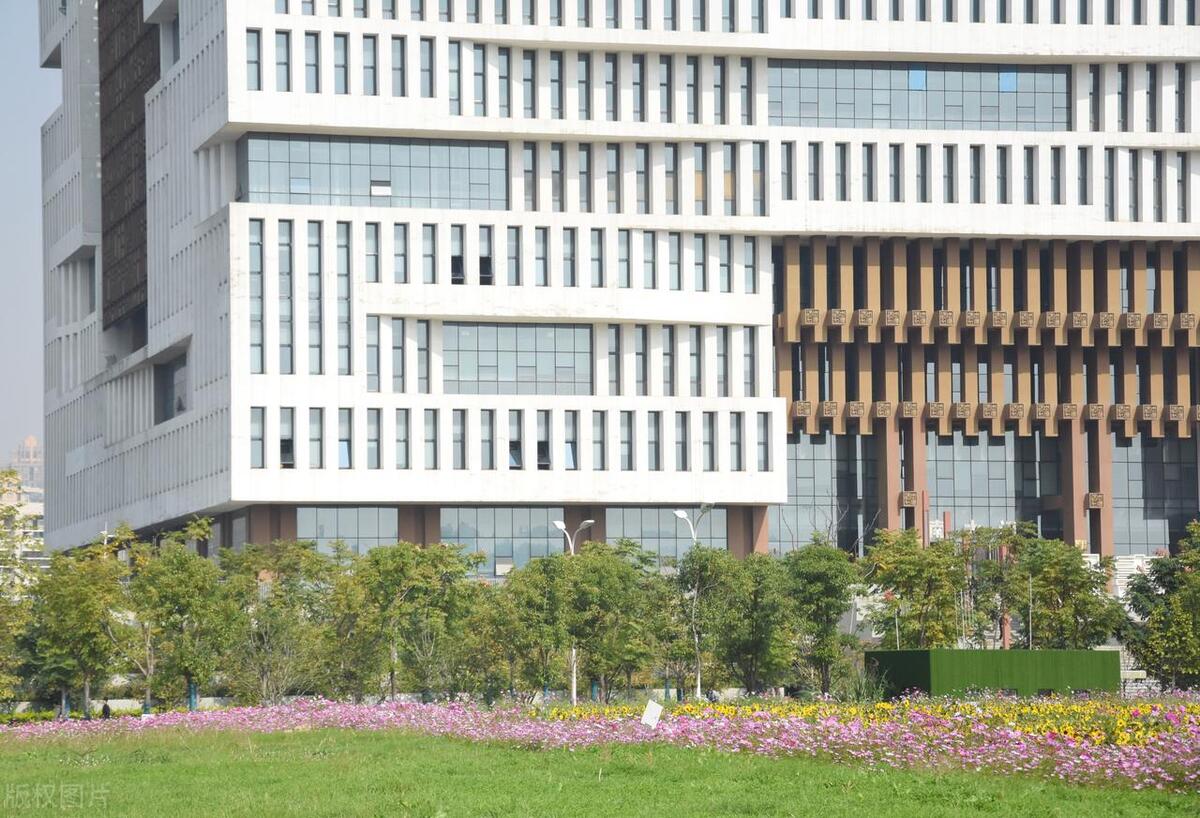 武汉理工大学自主招生本科网,武汉理工大学本科自主招生条件