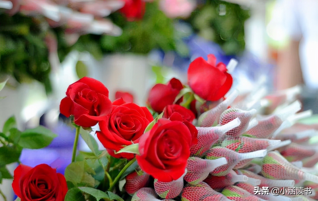 寄语2022:以笔为剑,以文为生,每一篇文章都有生命的力量