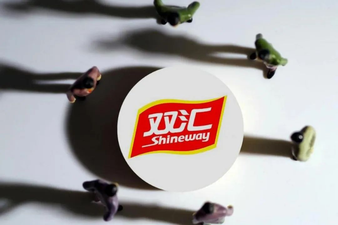 双汇发展有发展前景吗,漯河双汇还有发展前景吗