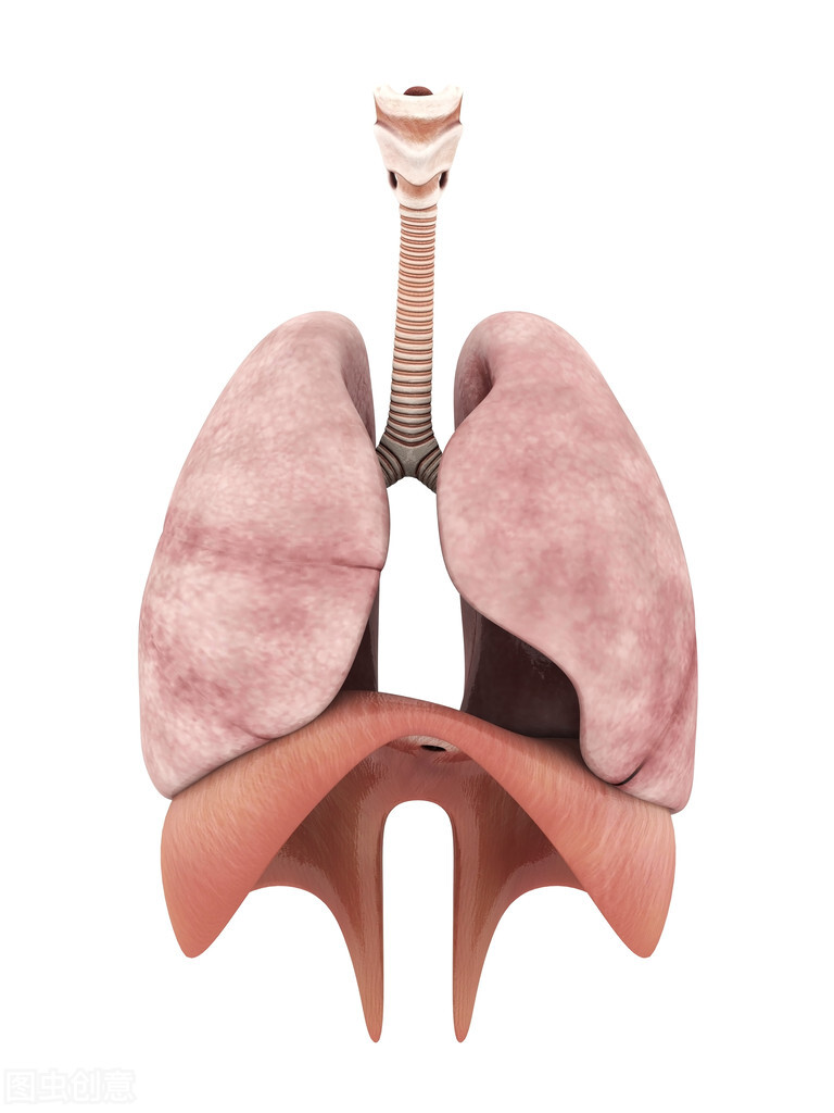 心功能不全下肢水肿中医治疗,治疗下肢水肿的中医名方