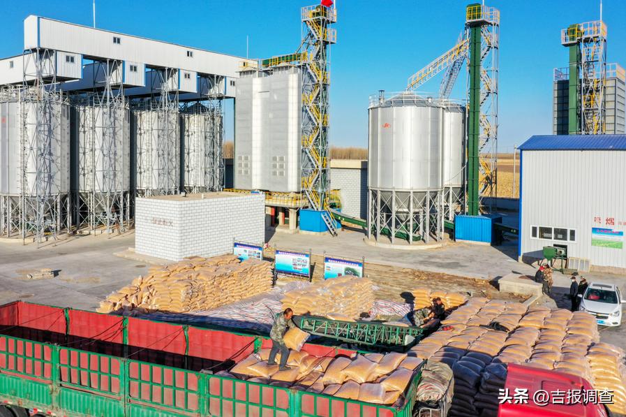 古城粮丰季，仓廪俱盈实！洮南市迈入全省前十产粮大县行列