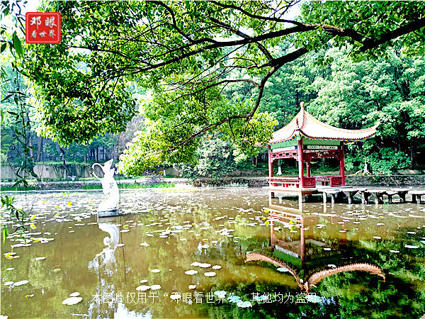 985武汉大学华中科技大学,武汉大学对比浙大