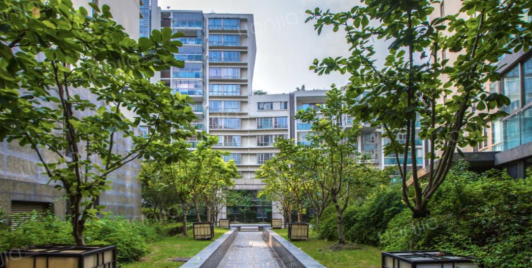 徐汇区建襄小学,徐汇建襄小学好吗