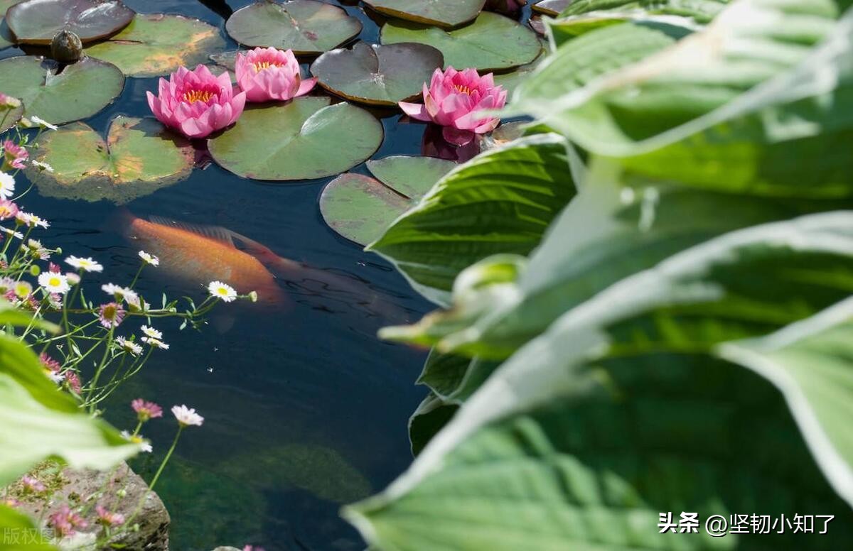 回忆童年糗事10件,我的童年糗事合集