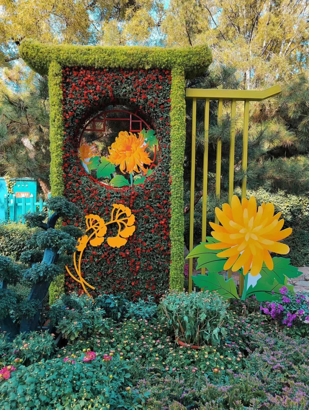 济南小众但是值得一去的地方,济南小众打卡圣地冬季