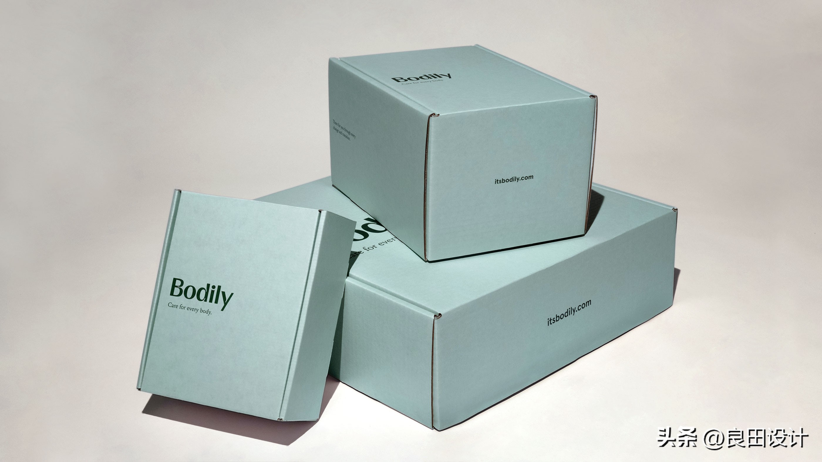 Bodily身体女性护理化妆品包装设计、品牌视觉