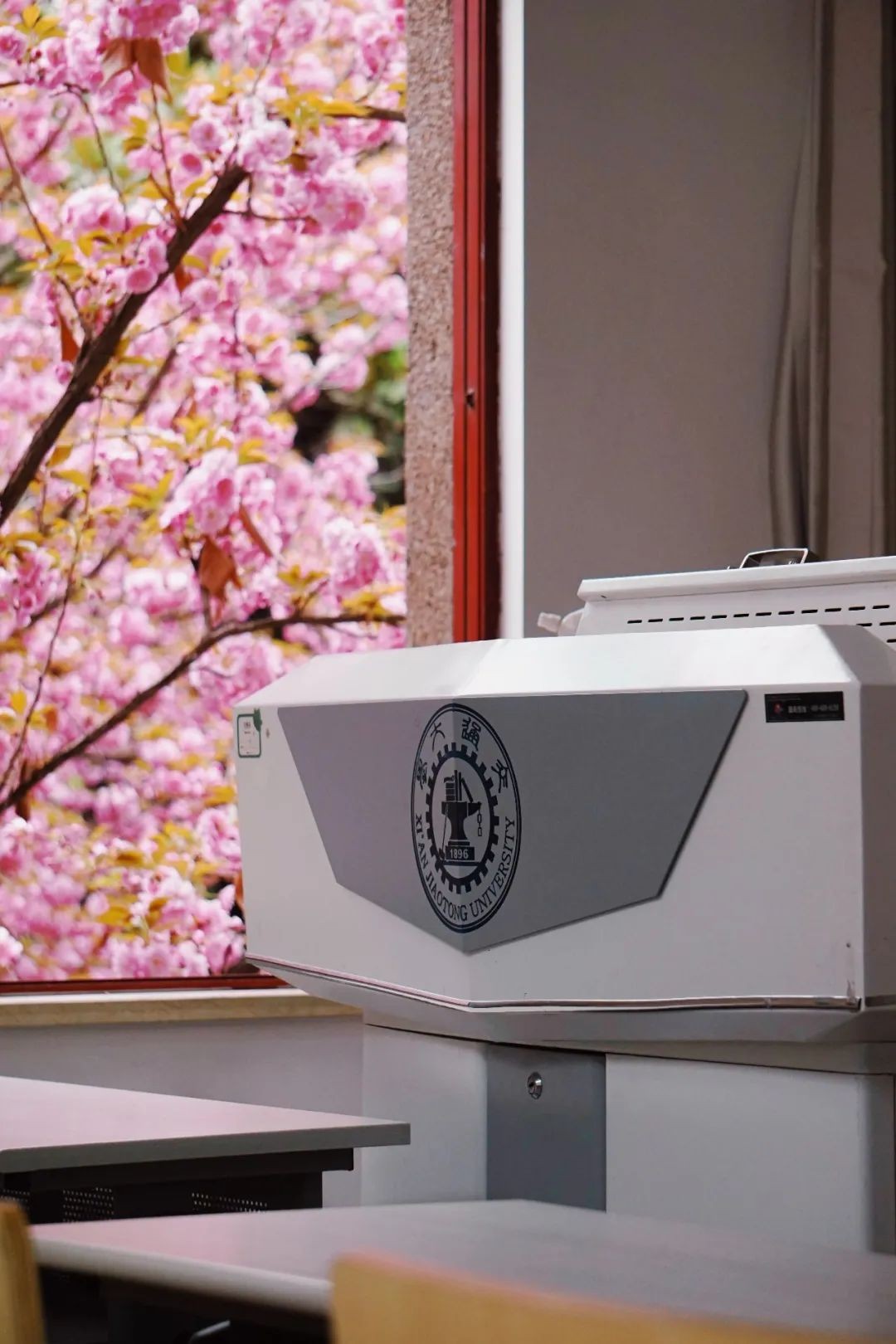 当千年长安,遇上百廿交大!西安交通大学:雨润风暖盛唐景,且待君同览!