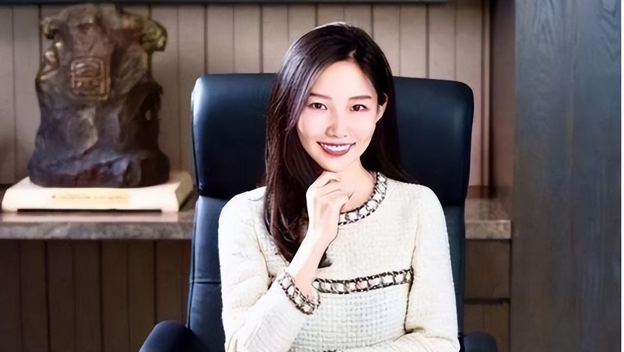 林晓芸的8700亿身家,ceo林晓芸