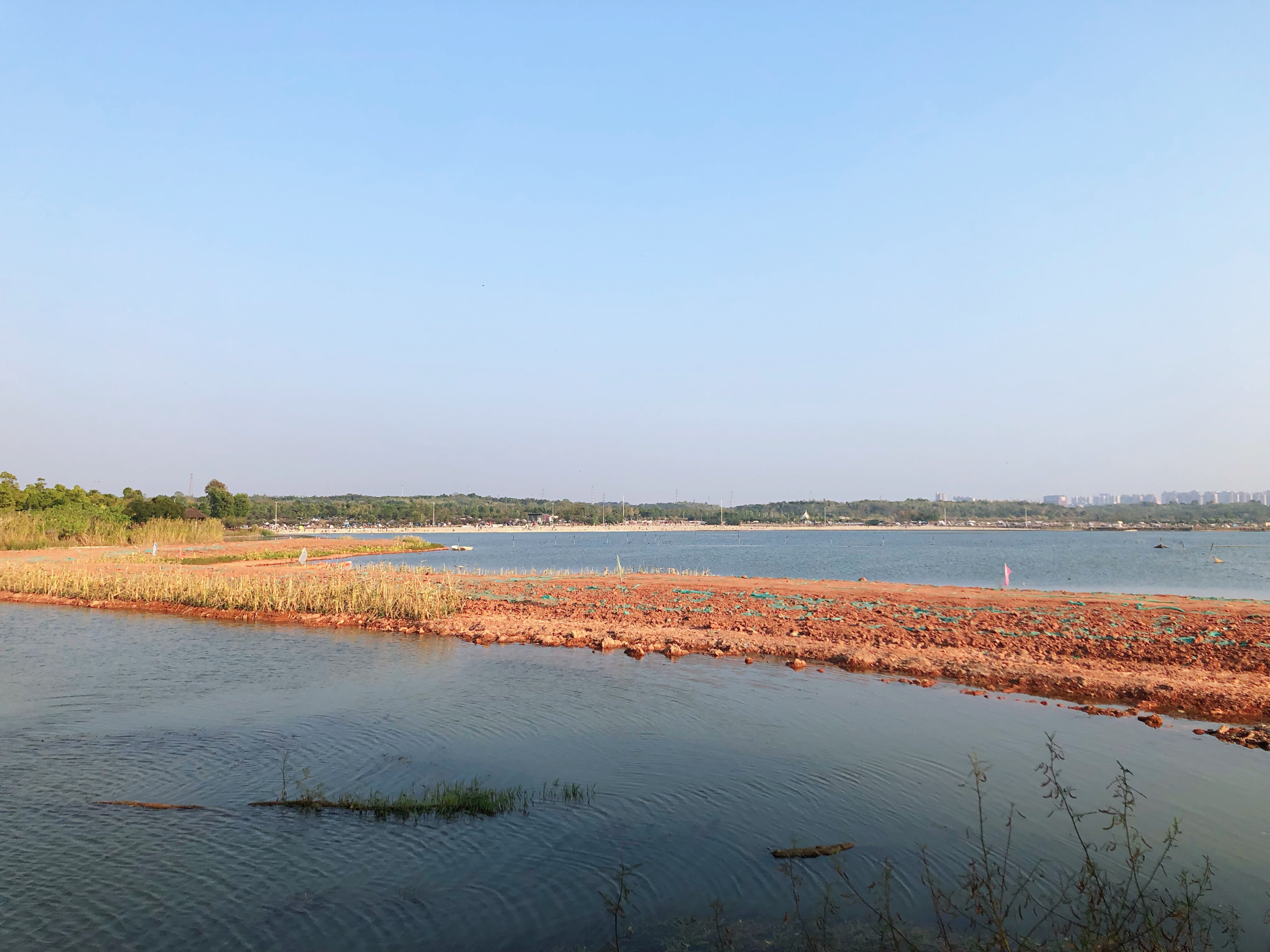 海滨松雅湖湿地公园,2020年长沙松雅湖湿地公园