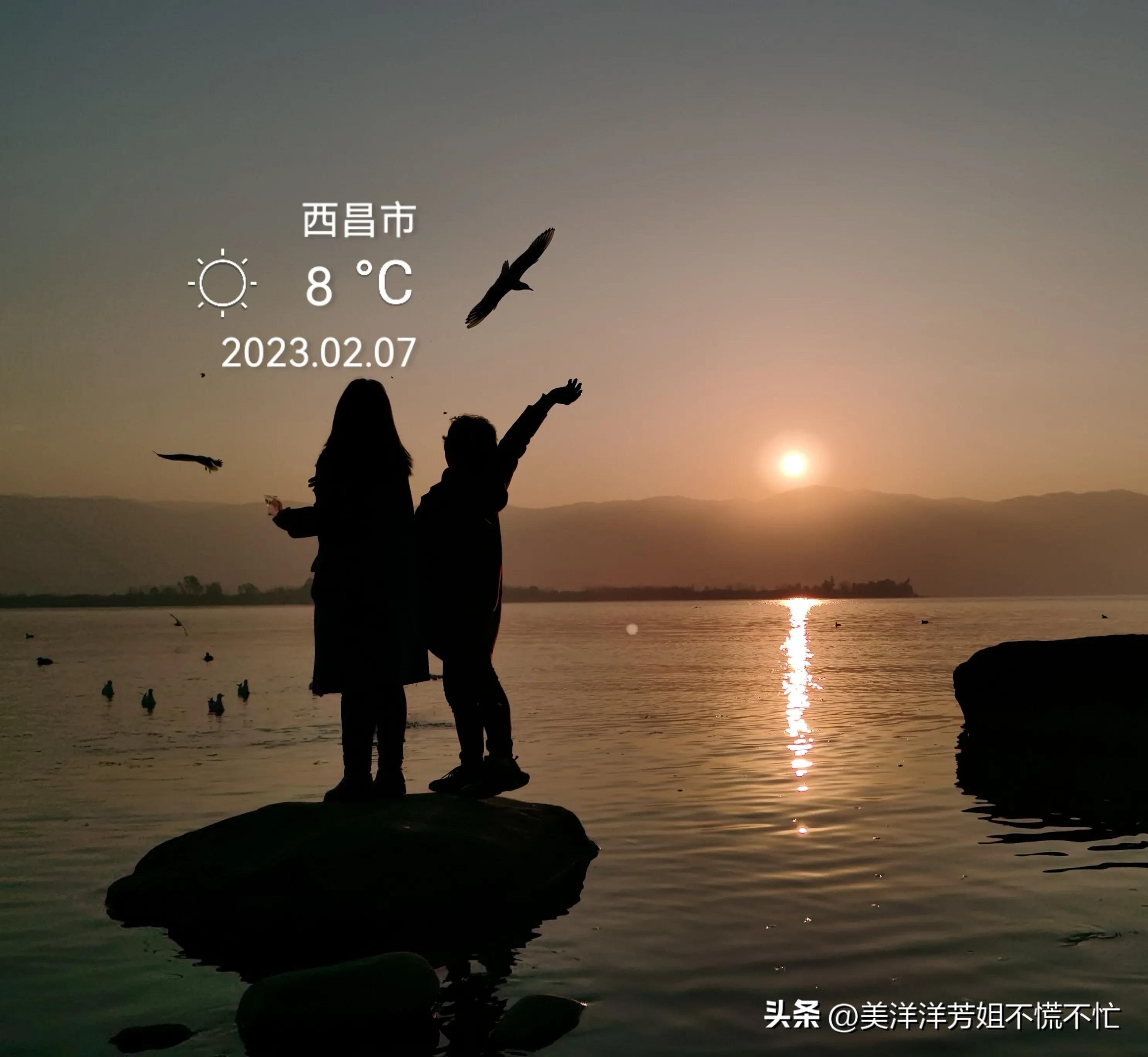 西昌邛海什么时候有海鸥,冬季去西昌邛海喂海鸥