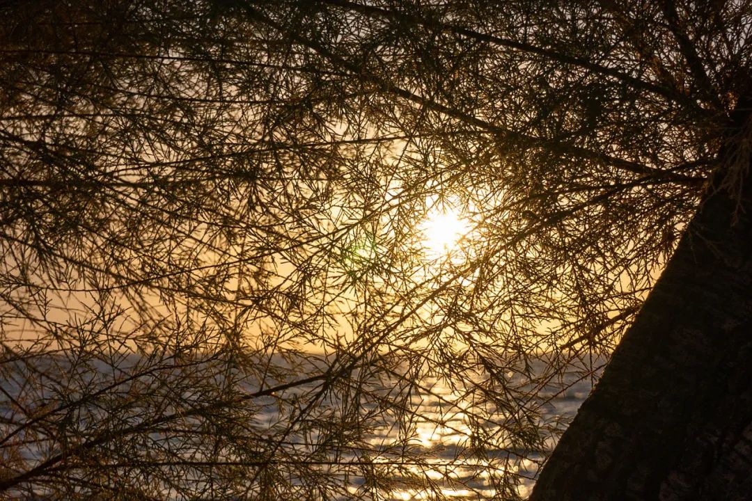 新品评测：Tokina11-18mmF2.8E多场景摄影搭档