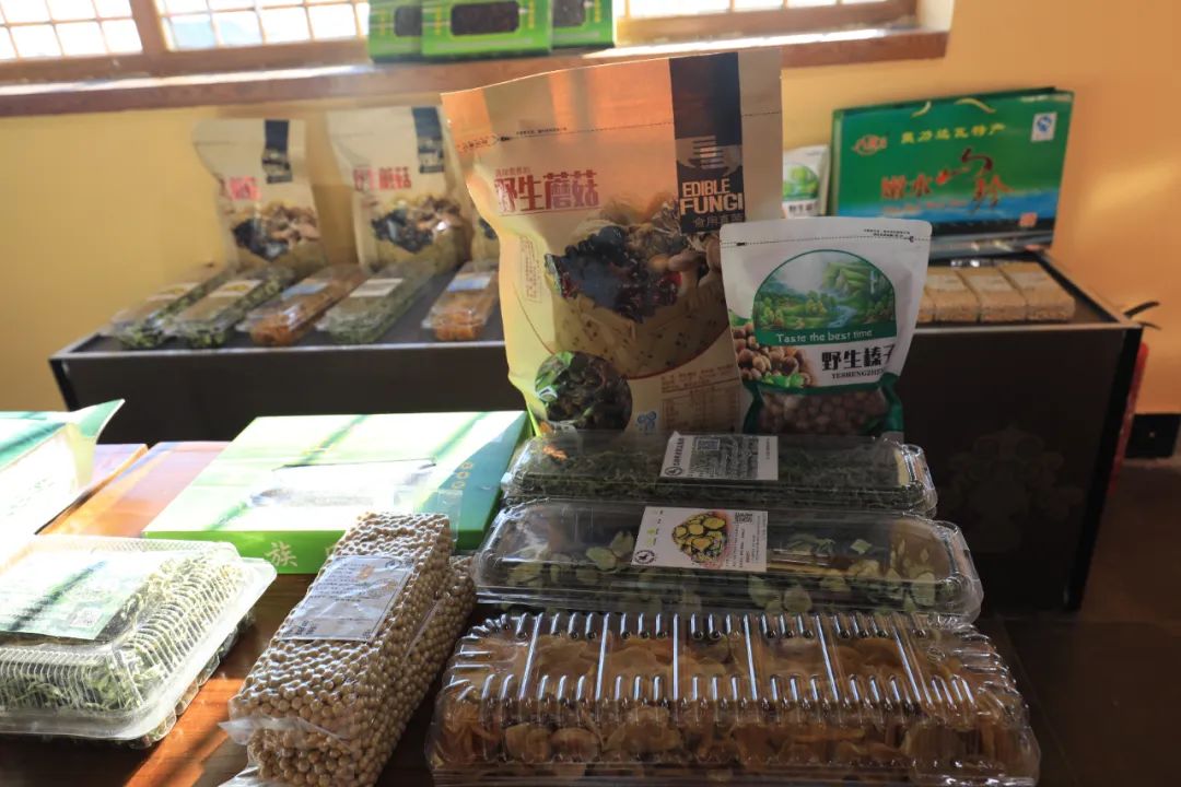 2022-2023年达斡尔冰钓季精彩集锦!