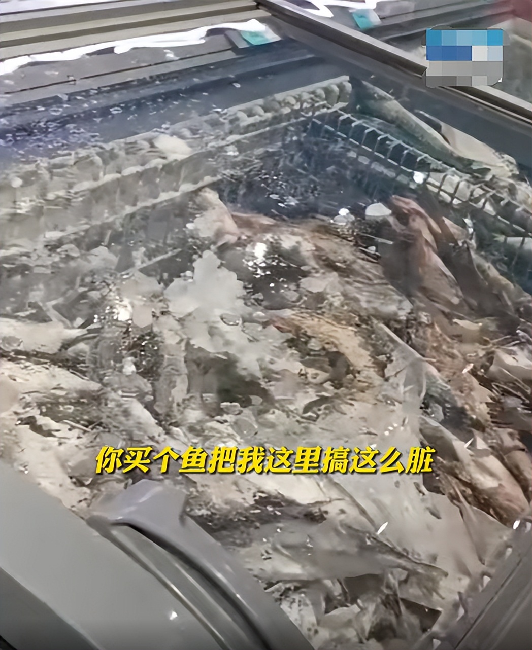 大爷到超市买冻鱼自带小刀,大叔超市买冻鱼自带小刀刮冰