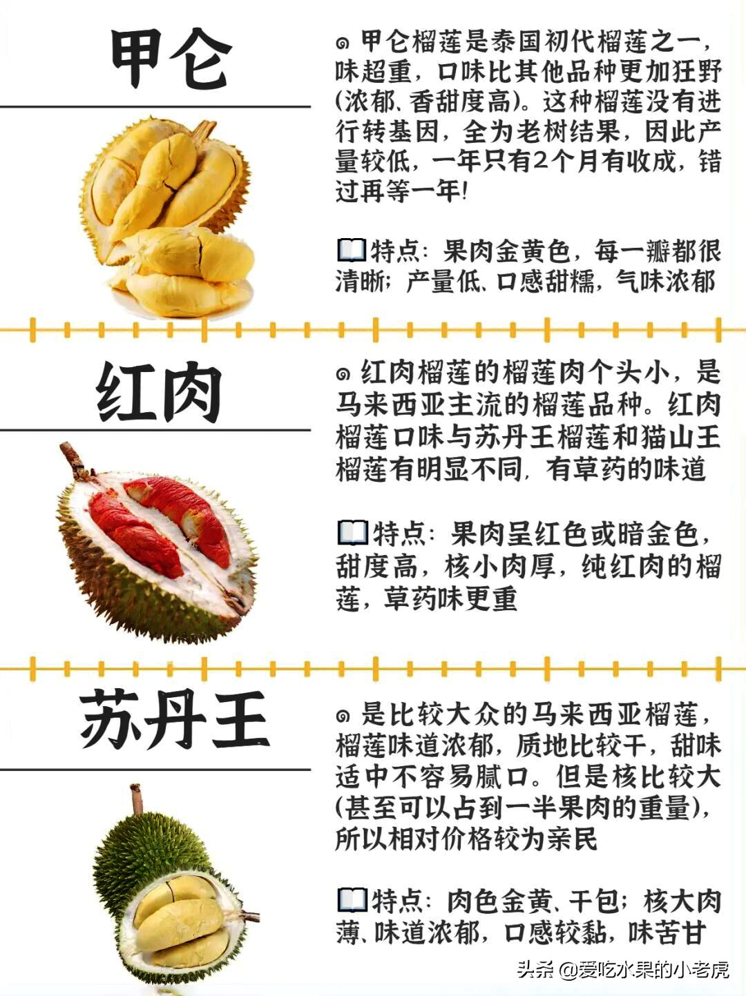 榴莲水果哪个品种最好吃,水果的知识小学生