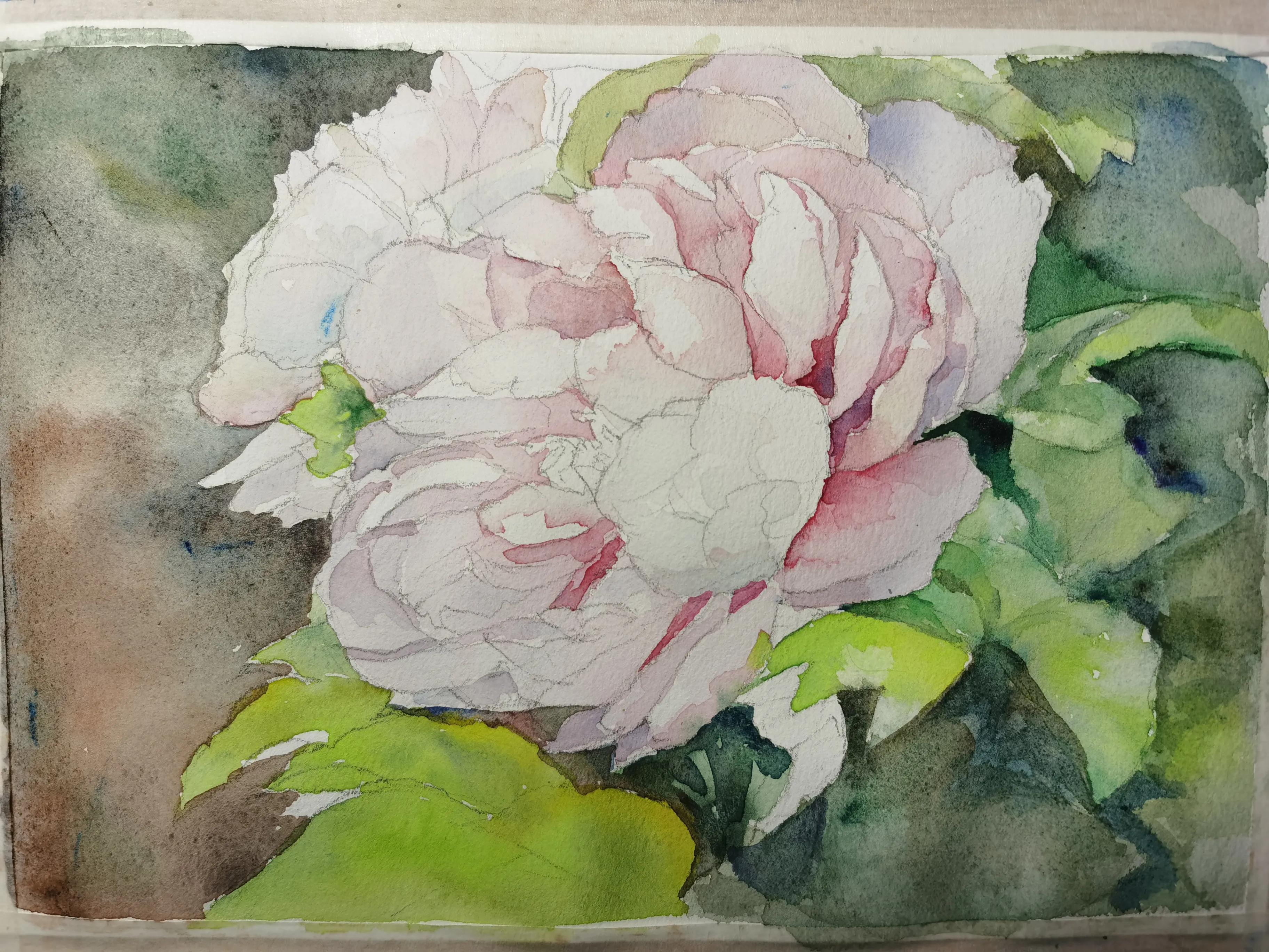 画侧面的两种方法,画准确线稿