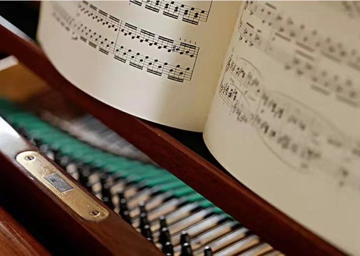 成人想学钢琴一定要先买钢琴吗,钢琴入坑小白应该用什么钢琴
