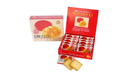 宫崎县特色,宫崎县土特产