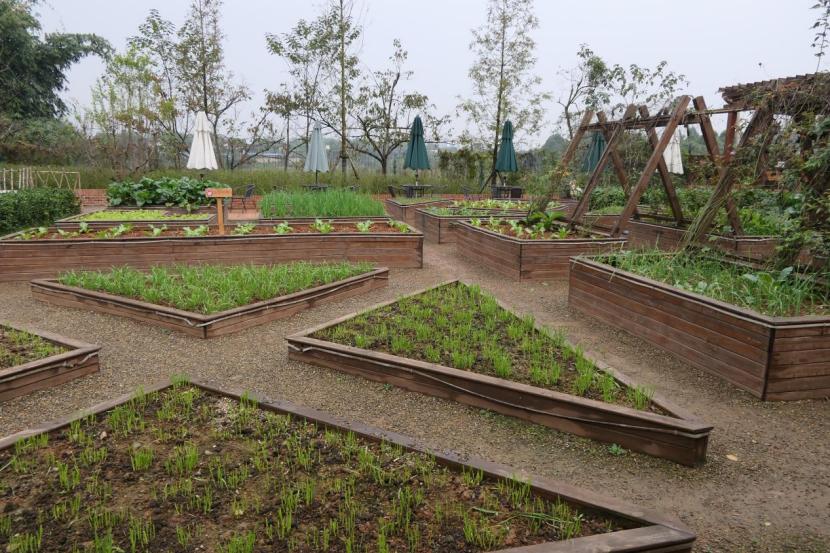 小农场盈利模式,50亩以内的小农场如何盈利