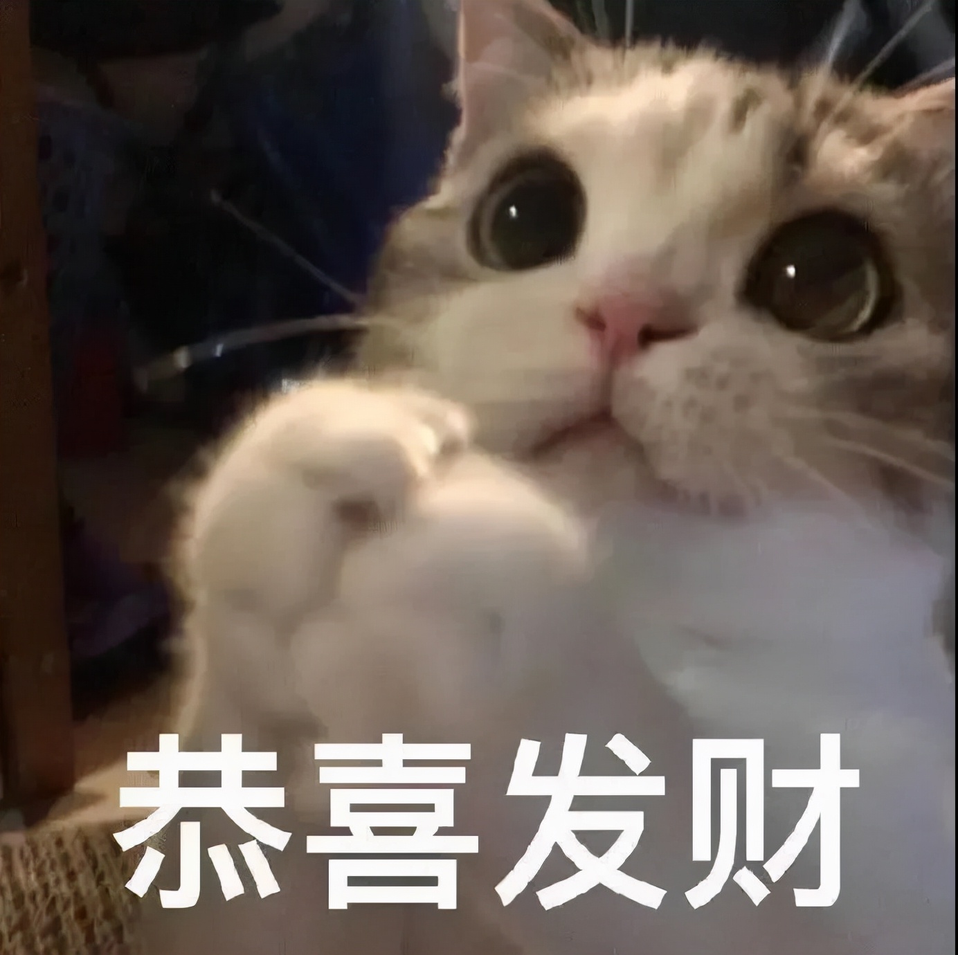 你说不喜欢我表情包我就删了,你为什么把我删了表情包