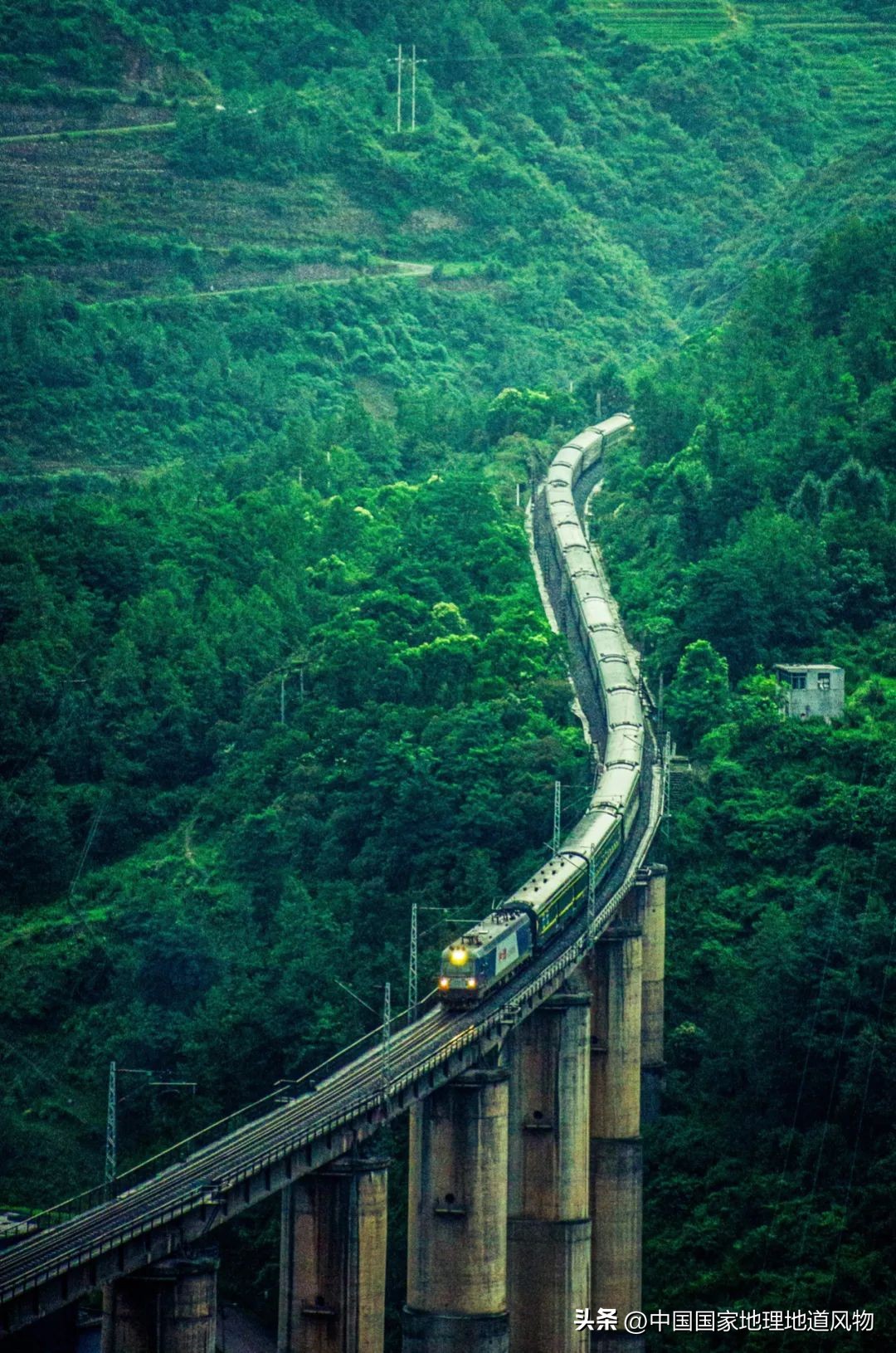 大山深处有哪些秘密,大山里的秘密是哪里的