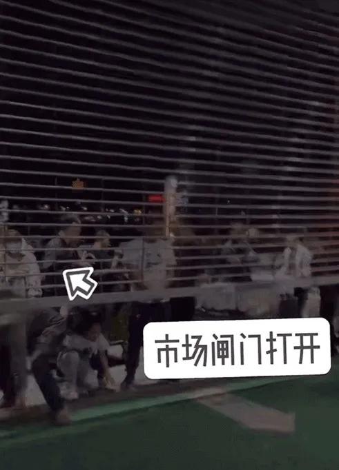 昆明斗南花市视频,昆明斗南花市商机