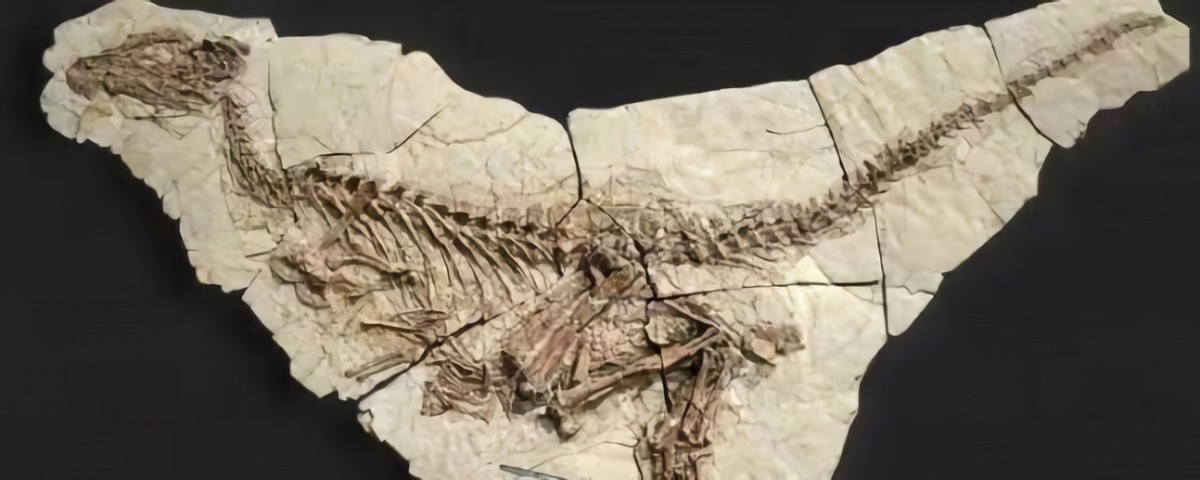 世界上最尴尬的意外死亡事件,世界上最尴尬的死亡事件