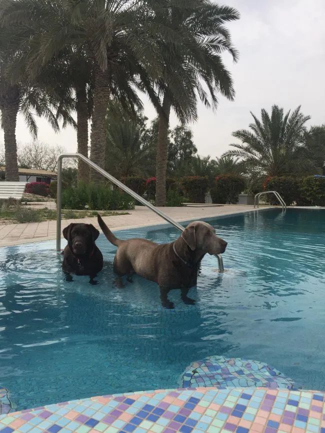 无意间看到的搞笑图片,10张搞笑图片笑得我眼泪都出来了