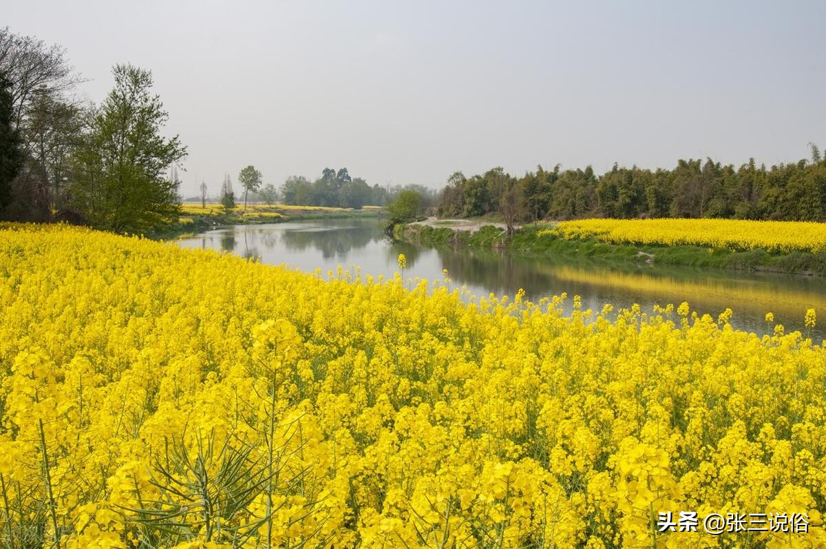 明天立夏，老话说“立夏有三象，必定生灾殃”：三象分别指啥？