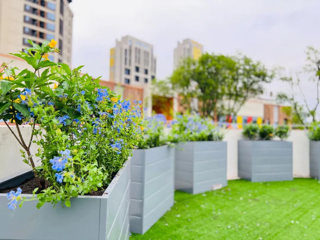 成都最好的全景阳台,四川成都最美阳台