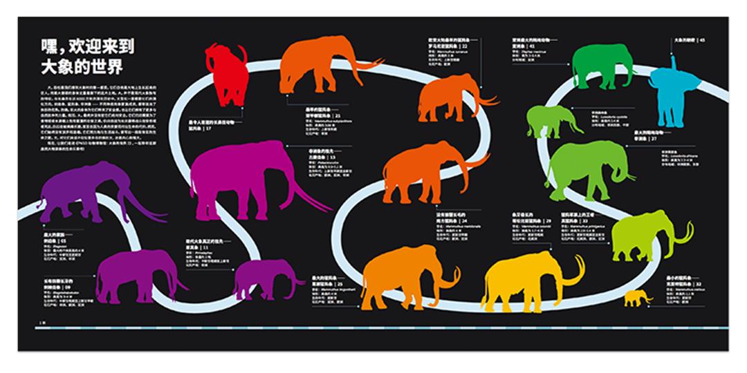 近距离接触大象了解大象,爱大象的原因