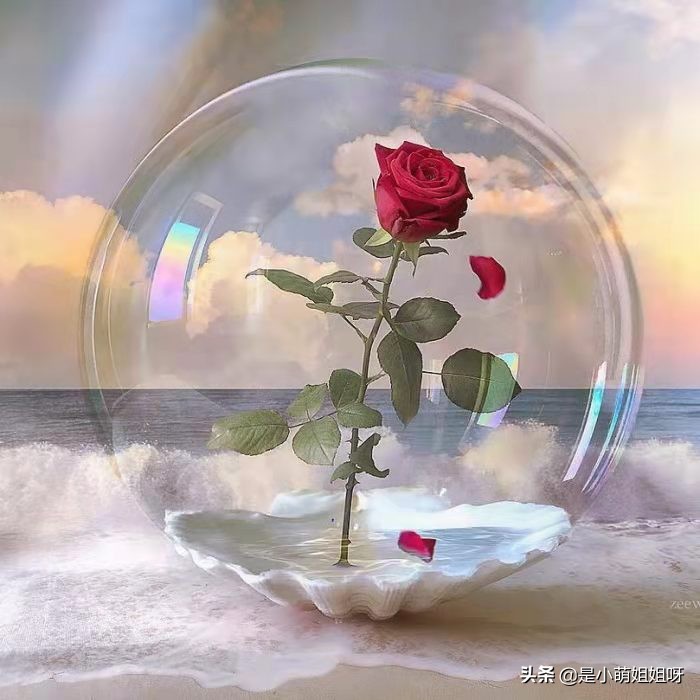 听说你也想要写作搞钱，家庭主妇、全职宝妈顾家同时也可以有收入