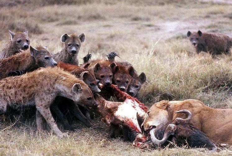 特朗普竟然被自己人用司法*器武**攻击，解密美国用过的十八般*器武**