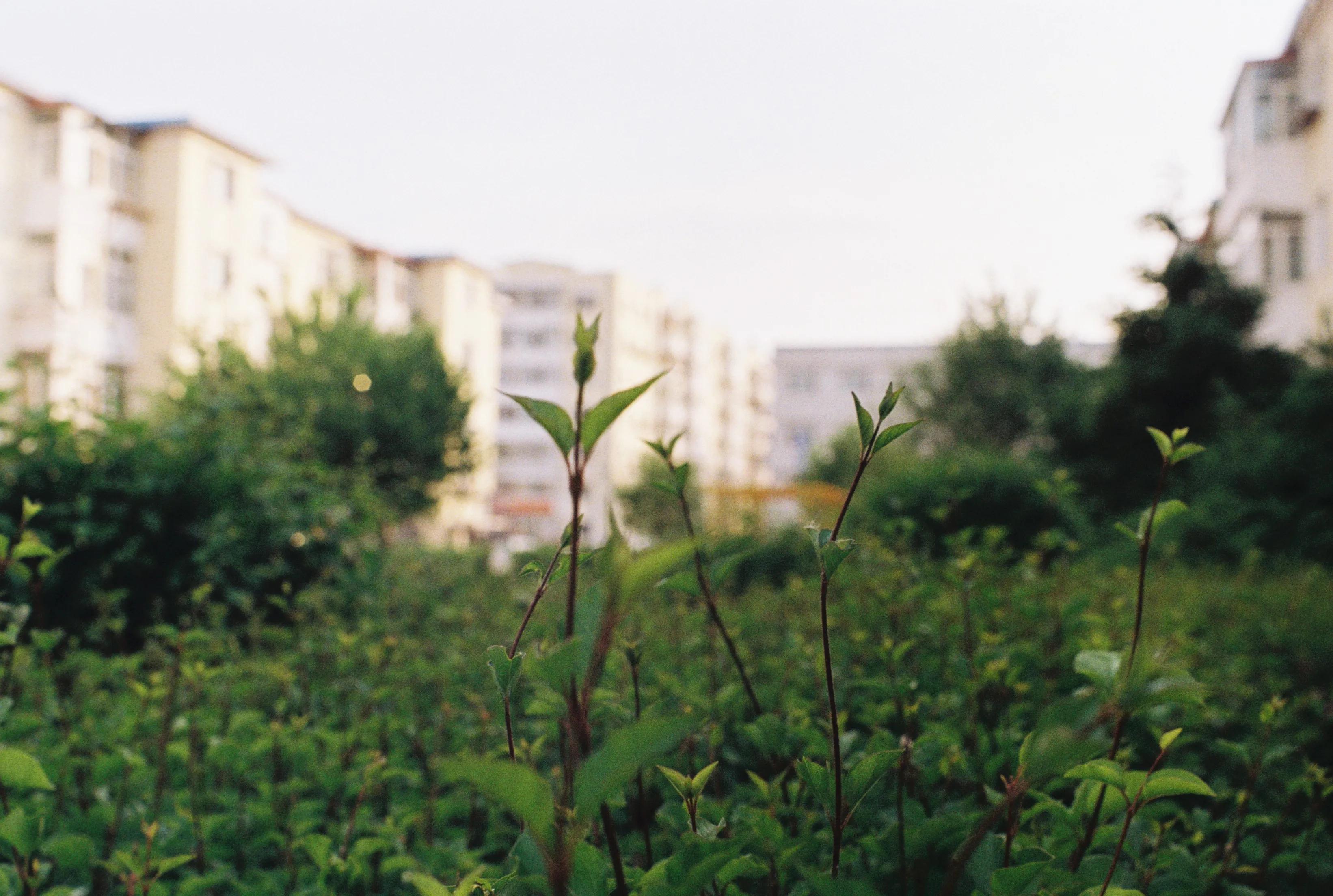 爱克山泰相机所有型号,爱克山泰相机实拍