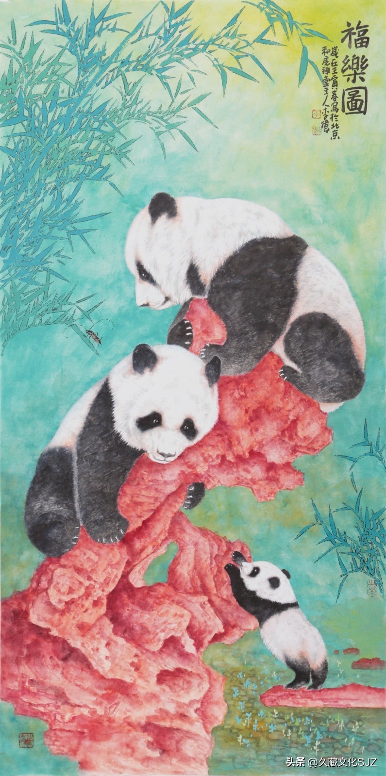 丫丫大熊猫图集,丫丫大熊猫回家视频