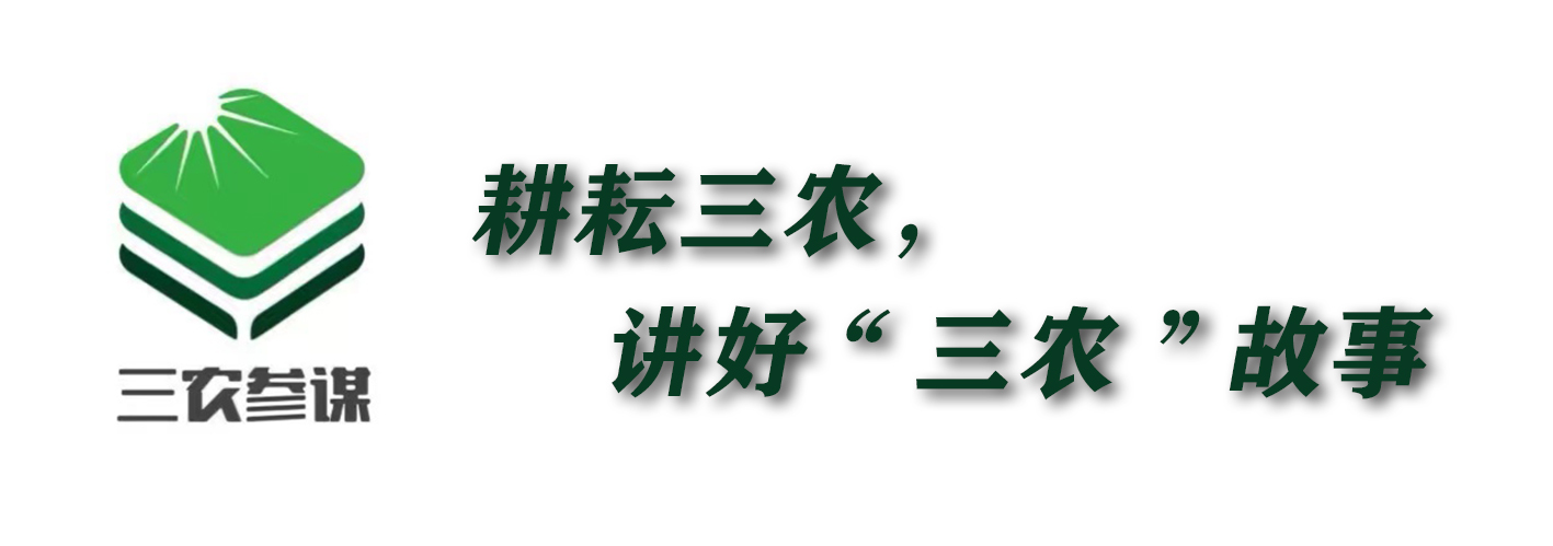 2021一号文件耕地政策,2023年新土地统一耕种是真的吗