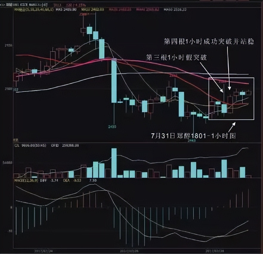 被“夜老虎”打趴下去后，我如何成为一个稳定盈利的“狩猎者”？