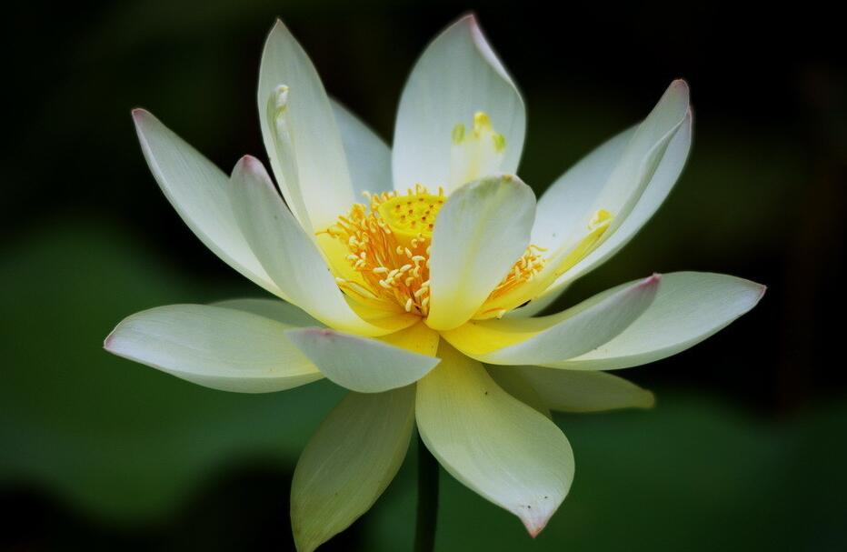 治疗手汗症最好的医院,手汗症的微创治疗视频