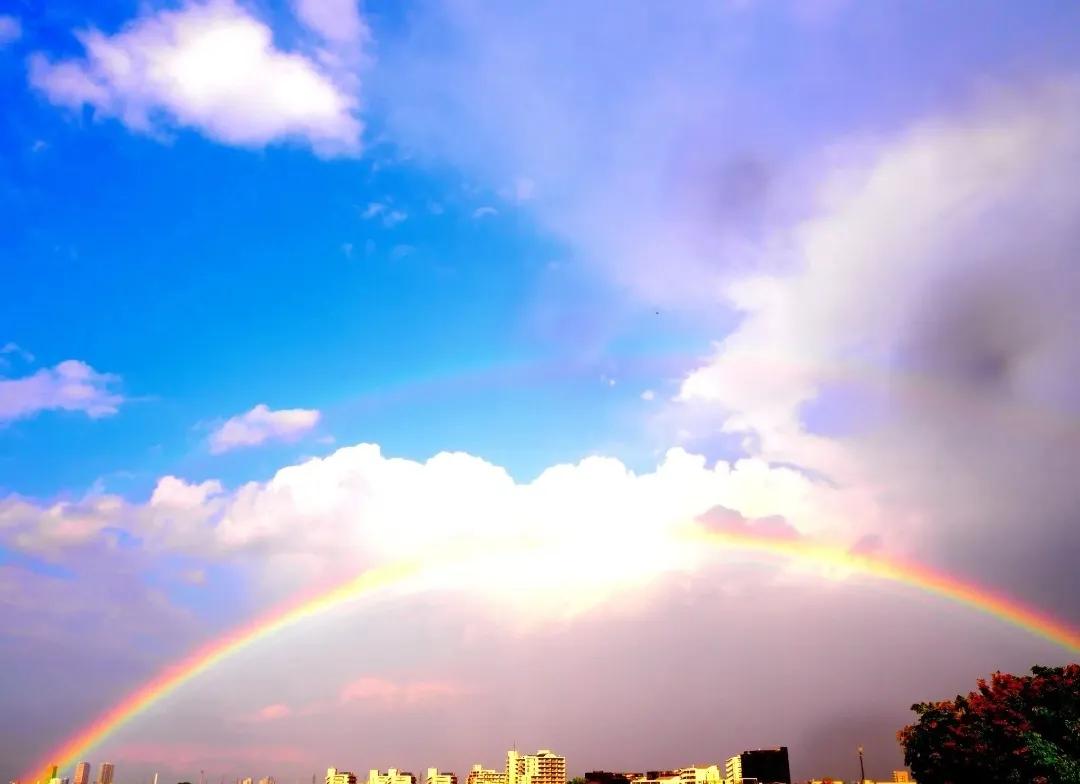 郑州楼市何去何从,郑州三至五年后该何去何从