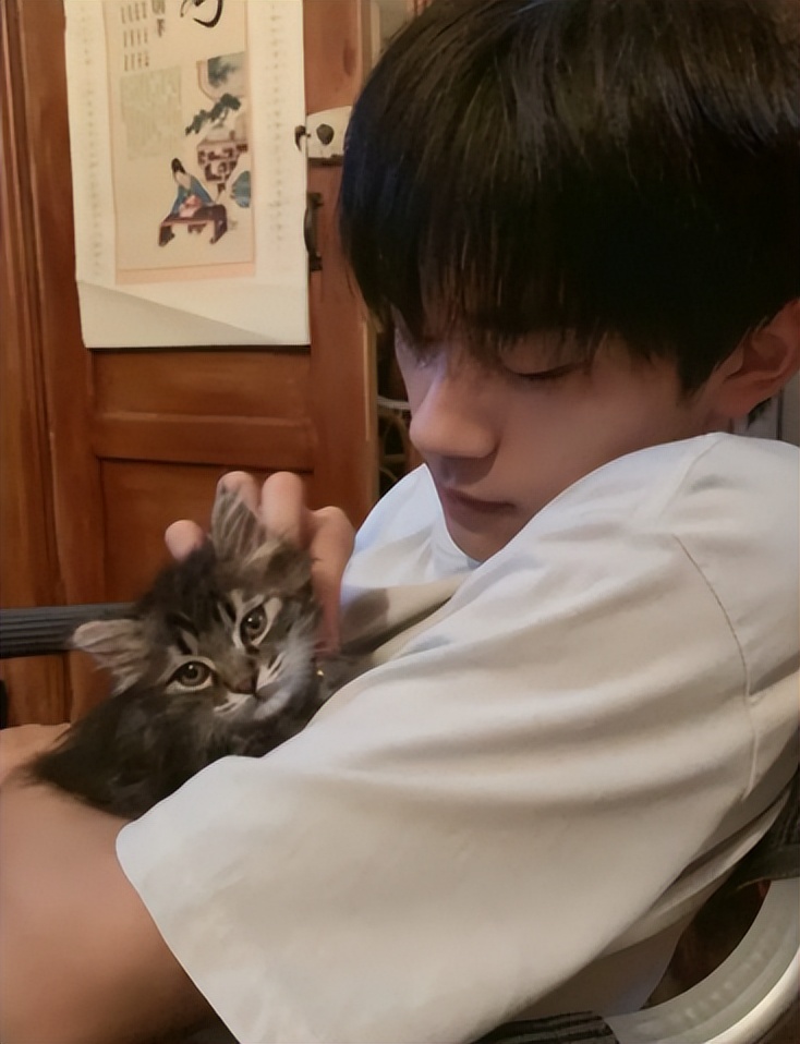 四字弟弟易烊千玺属啥,四字弟弟易烊千玺清唱