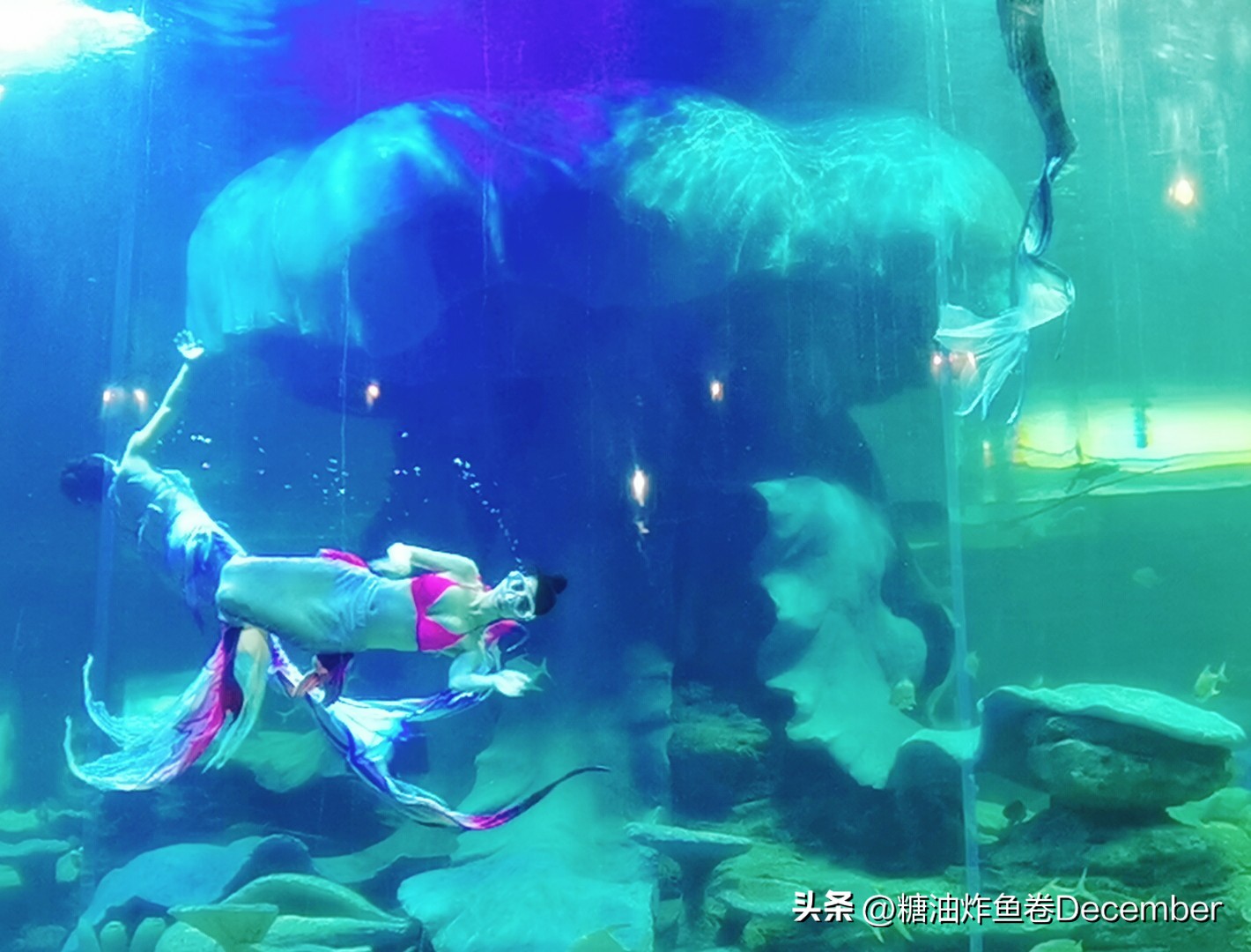 扶绥龙谷湾恐龙公园游玩攻略,扶绥龙谷湾恐龙公园在哪里