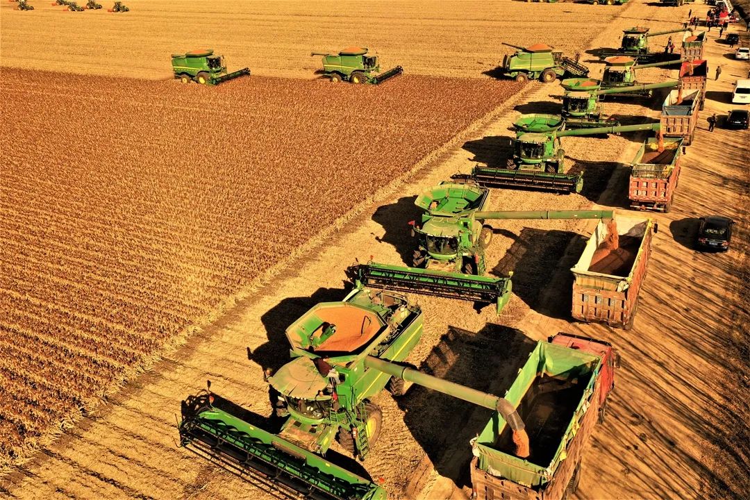 全国玉米最新卖粮进度,2023年小麦和玉米价格高还是低