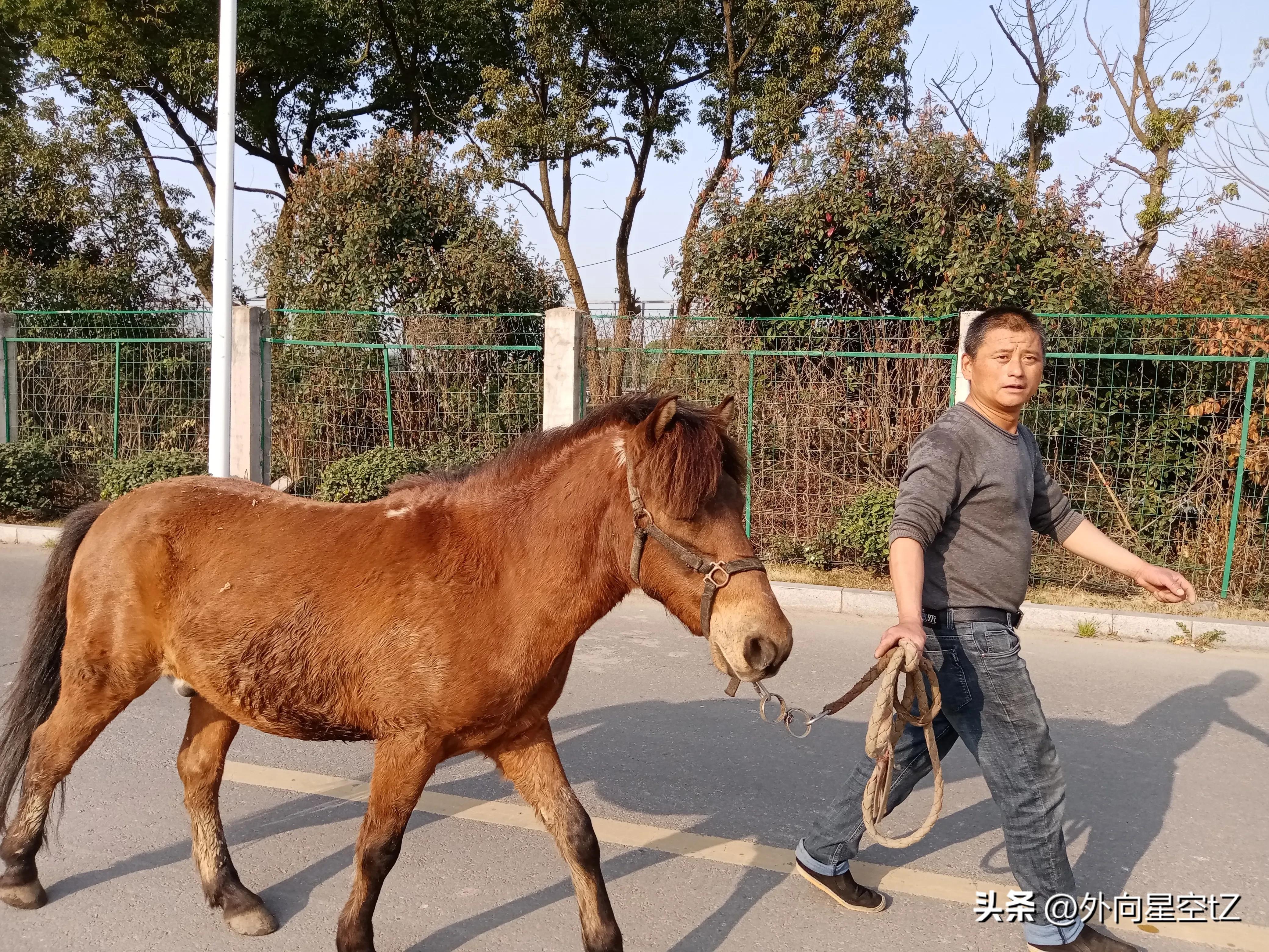 真实的浙江人在美国,浙江宁波人的特点